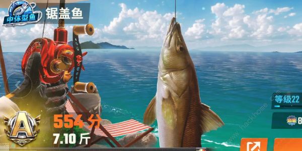 欢乐钓鱼大师鱼类图鉴大全 所有鱼类种类外观一览