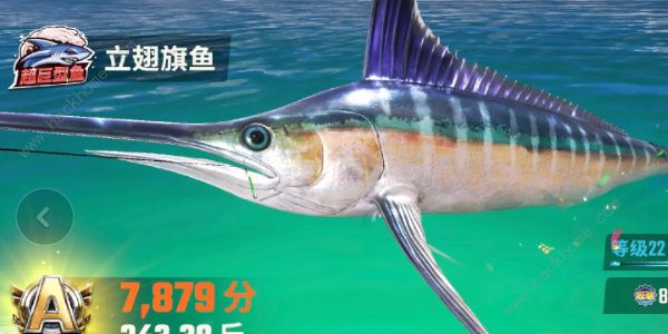 欢乐钓鱼大师鱼类图鉴大全 所有鱼类种类外观一览