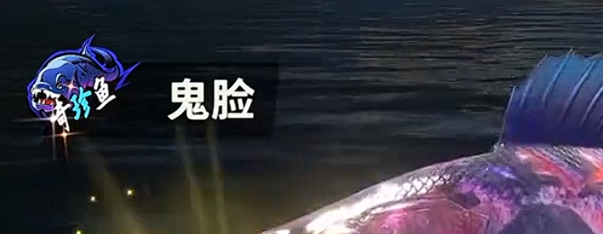 欢乐钓鱼大师什么鱼比较稀有