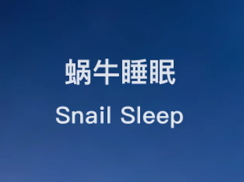 蜗牛睡眠安卓版