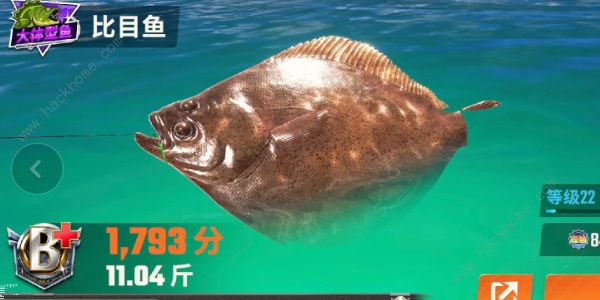 欢乐钓鱼大师鱼类图鉴大全 所有鱼类种类外观一览