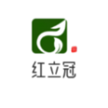 
                红立冠
            