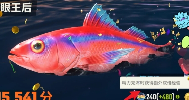 欢乐钓鱼大师快速获取经验攻略
