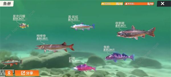 欢乐钓鱼大师鱼类图鉴大全 所有鱼类种类外观一览