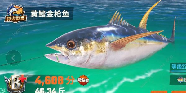 欢乐钓鱼大师鱼类图鉴大全 所有鱼类种类外观一览