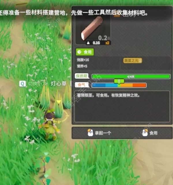 无径之林攻略大全 萌新入门必备技巧指南