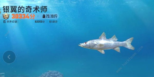 欢乐钓鱼大师鱼类图鉴大全 所有鱼类种类外观一览