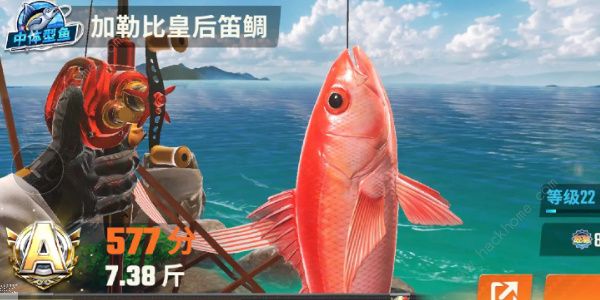欢乐钓鱼大师鱼类图鉴大全 所有鱼类种类外观一览