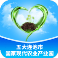 
                连池豆种
            