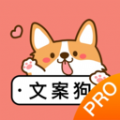 
                文案伴侣
            