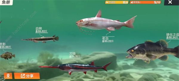 欢乐钓鱼大师鱼类图鉴大全 所有鱼类种类外观一览