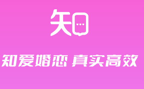 知爱婚恋安卓版