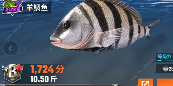 欢乐钓鱼大师鱼类图鉴大全 所有鱼类种类外观一览
