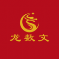 
                龙数文
            