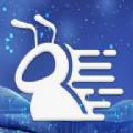 
                抖影流量
            