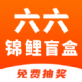 
                六六锦鲤盲盒
            
