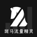 
                斑马流量精灵
            