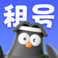 
                租号坤
            