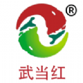 
                武当红
            