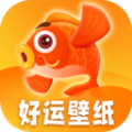 
                好运壁纸
            