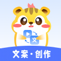 
                仓鼠文案大师
            