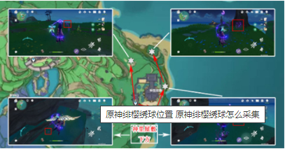 原神绯樱绣球位置一览