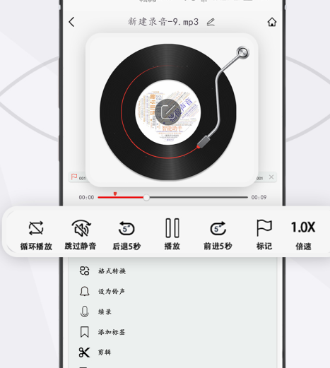 大录音师最新版本下载