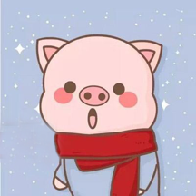 
                小猪英语
            