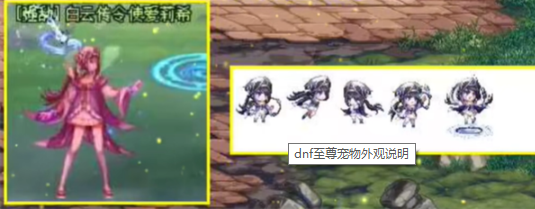 dnf2024至尊宠物颜值介绍