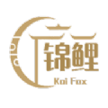
                锦鲤盒
            