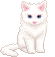 阅读书源APP v1.0.0