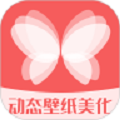 
                动态壁纸美化
            