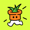 
                种草组件
            
