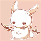 
                多态兔兔
            