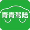 
                青青驾陪
            