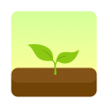 
                forest专注森林
            