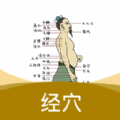 
                经络穴位指南
            