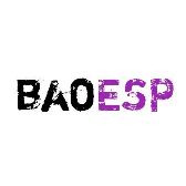 baoesp2.3.9 v2.3.9