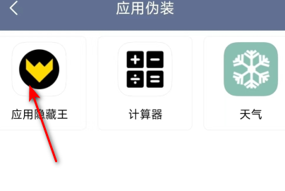 应用隐藏王最新免费版