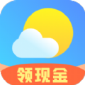 
                每周天气
            