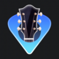 
                调音器tuner
            