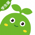 
                豌豆素质教育
            