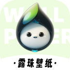 
                露珠壁纸
            