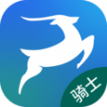 
                小羚骑士
            