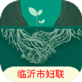 
                家庭家教家风
            