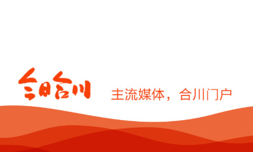 今日合川客户端安卓版