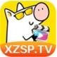 小猪短视频直播APP