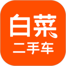 
                白菜二手车
            