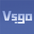 Vsgo