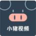 小猪视频直播汅版在线看